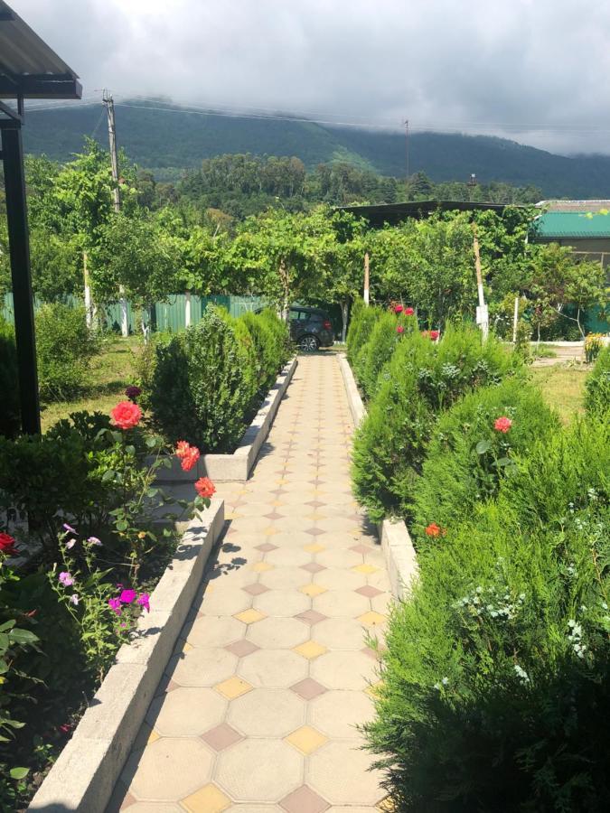 Inn Aхчыпсы Gagra Exteriör bild
