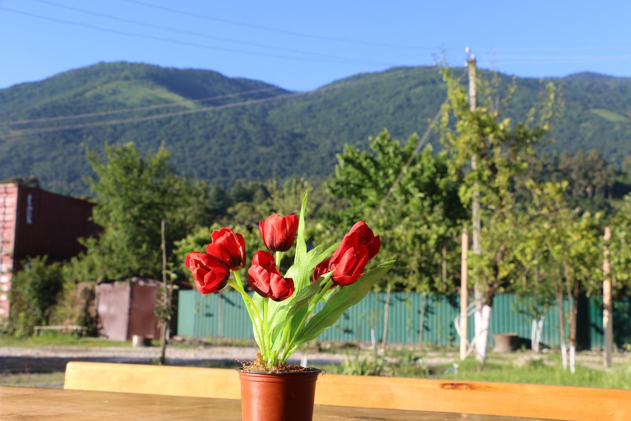 Inn Aхчыпсы Gagra Exteriör bild